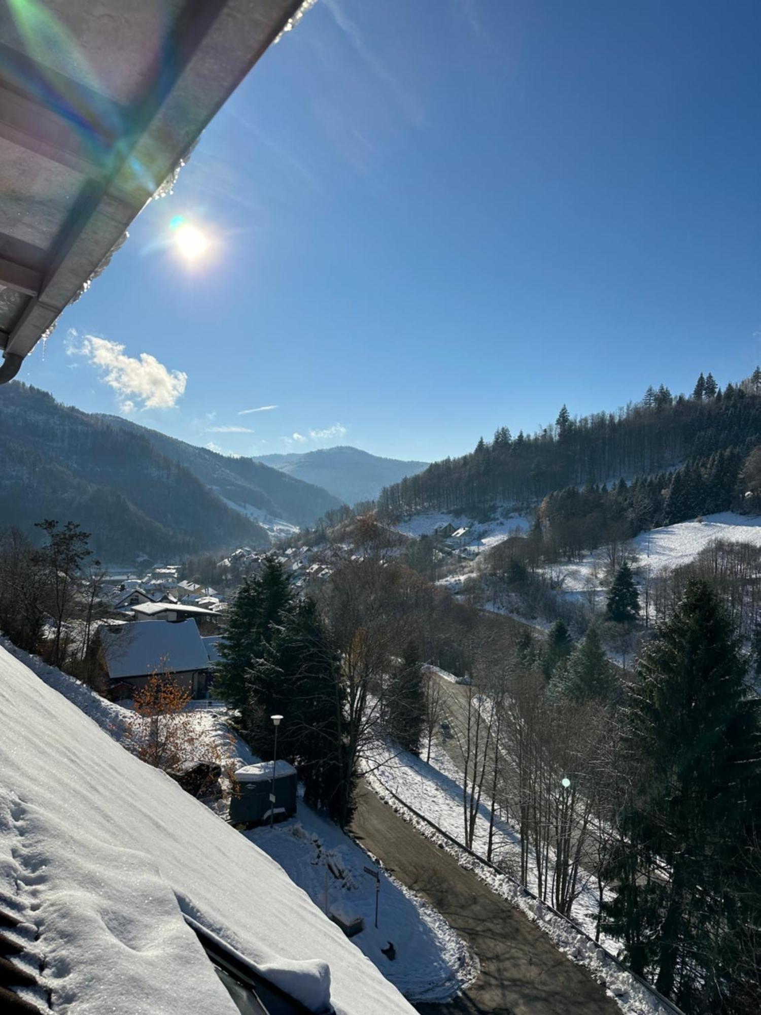 טודנאו Bollenlodge - Ferienwohnung Mit Ausblick Und Top Lage מראה חיצוני תמונה